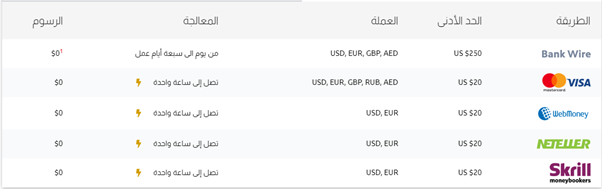 صورة من موقع الشركة للحد الادنى